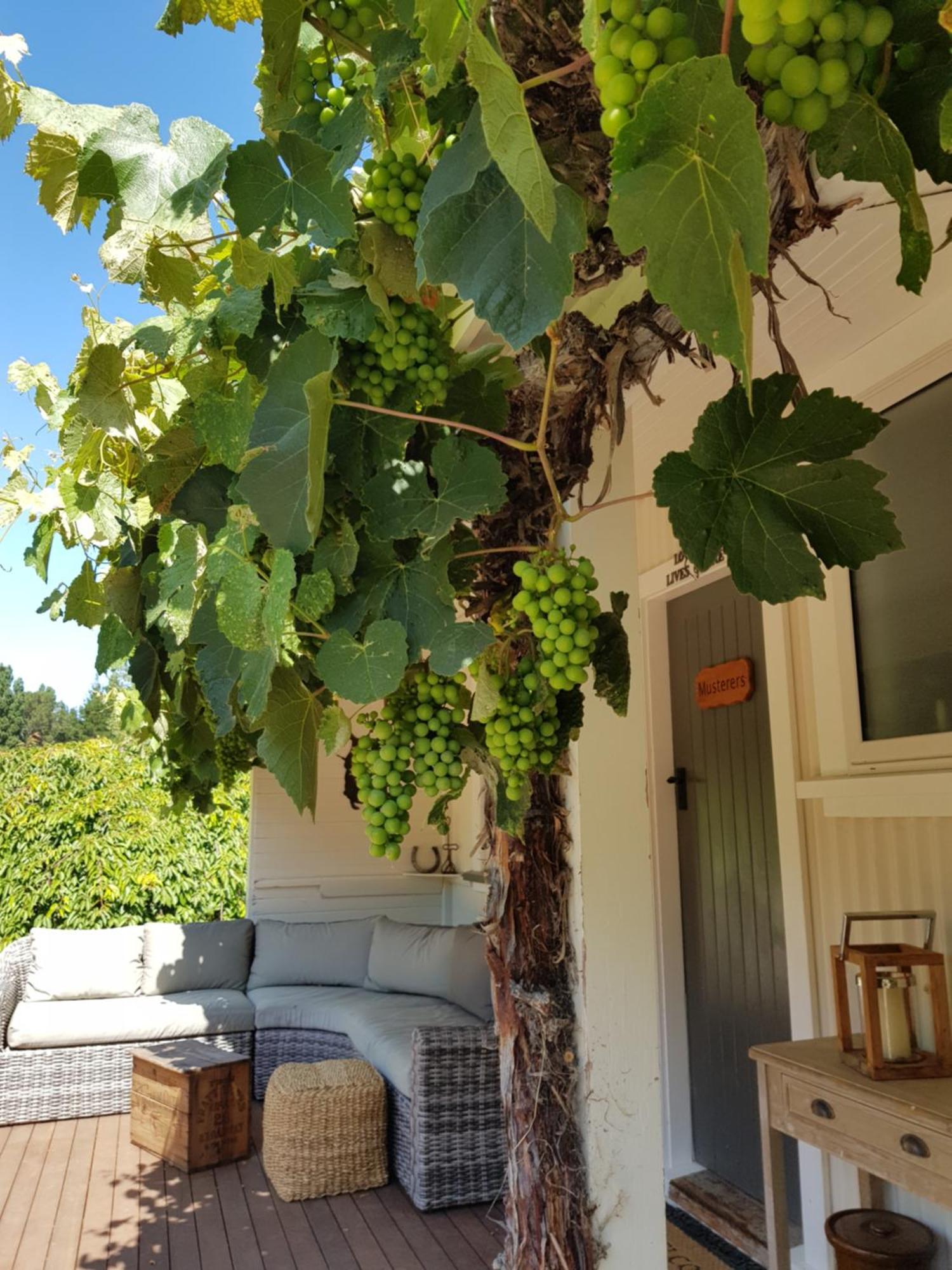 Karetu Downs Farm Stay Hawarden Екстер'єр фото