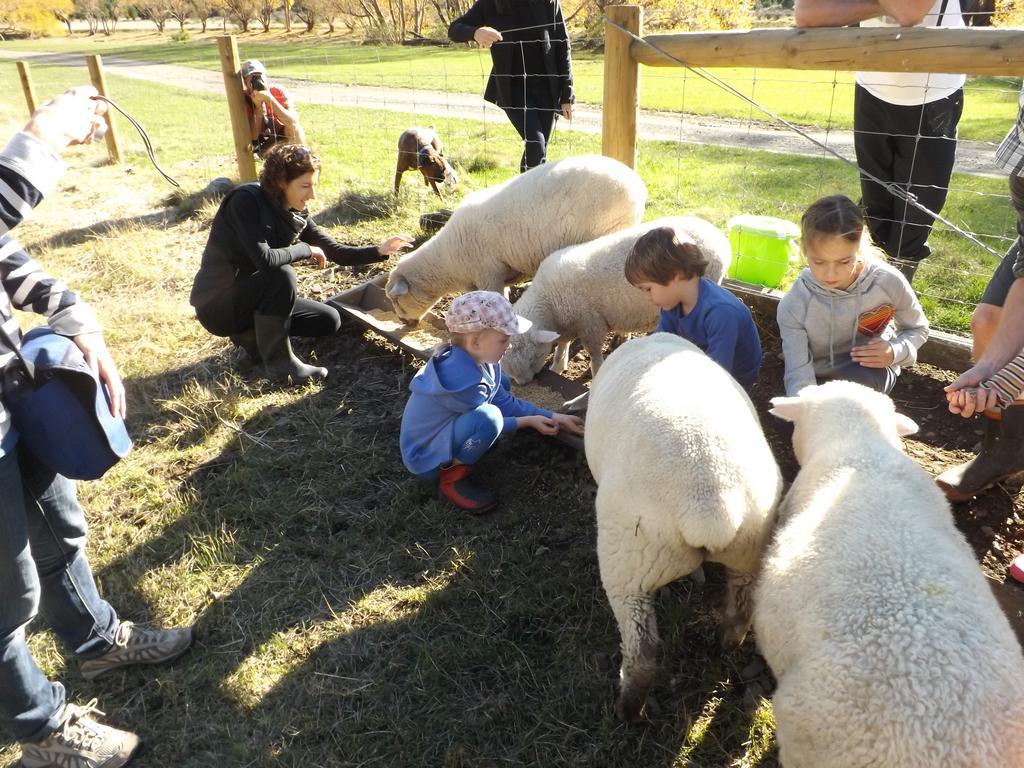 Karetu Downs Farm Stay Hawarden Екстер'єр фото