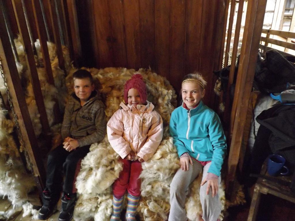 Karetu Downs Farm Stay Hawarden Екстер'єр фото