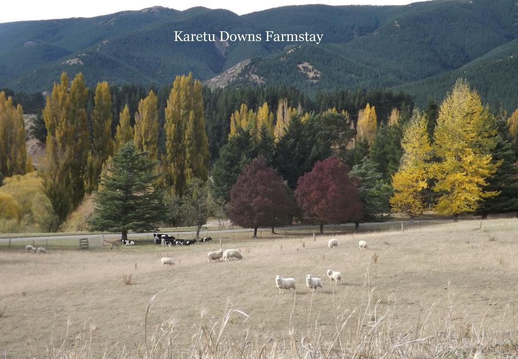 Karetu Downs Farm Stay Hawarden Екстер'єр фото