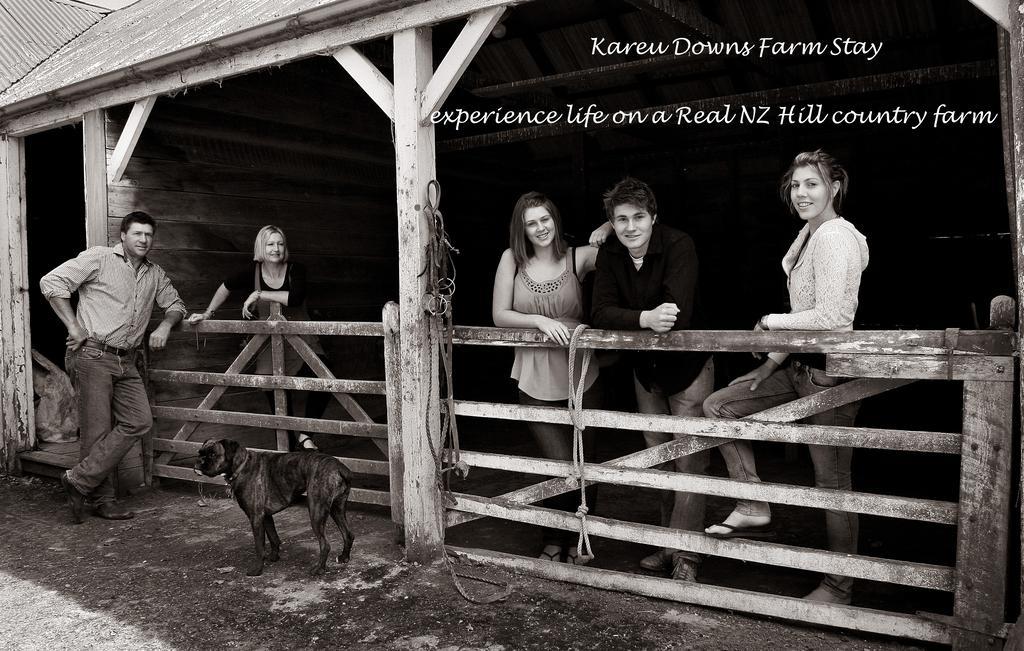 Karetu Downs Farm Stay Hawarden Екстер'єр фото